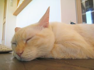 てん２３