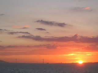IMG_6553