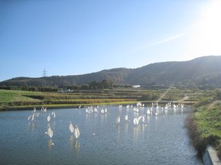 IMG_0281
